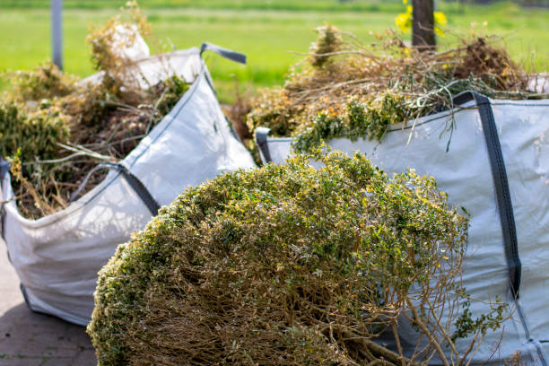 Best Yard Waste Removal  in Timmonsville, SC
